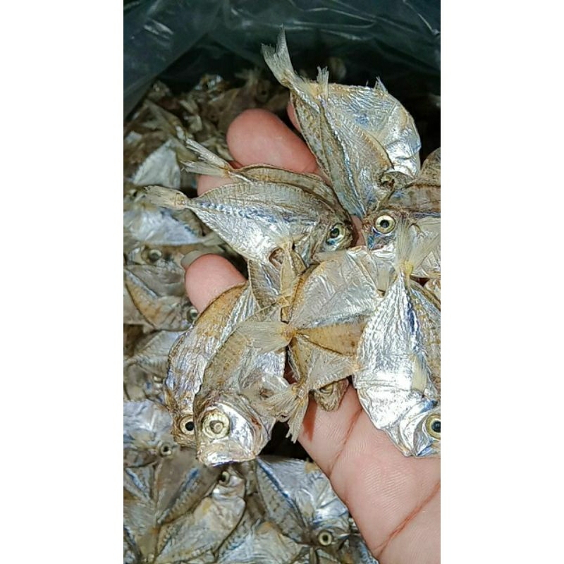 

ikan retem asin,terbuat dari ikan segar pilihan.500gr