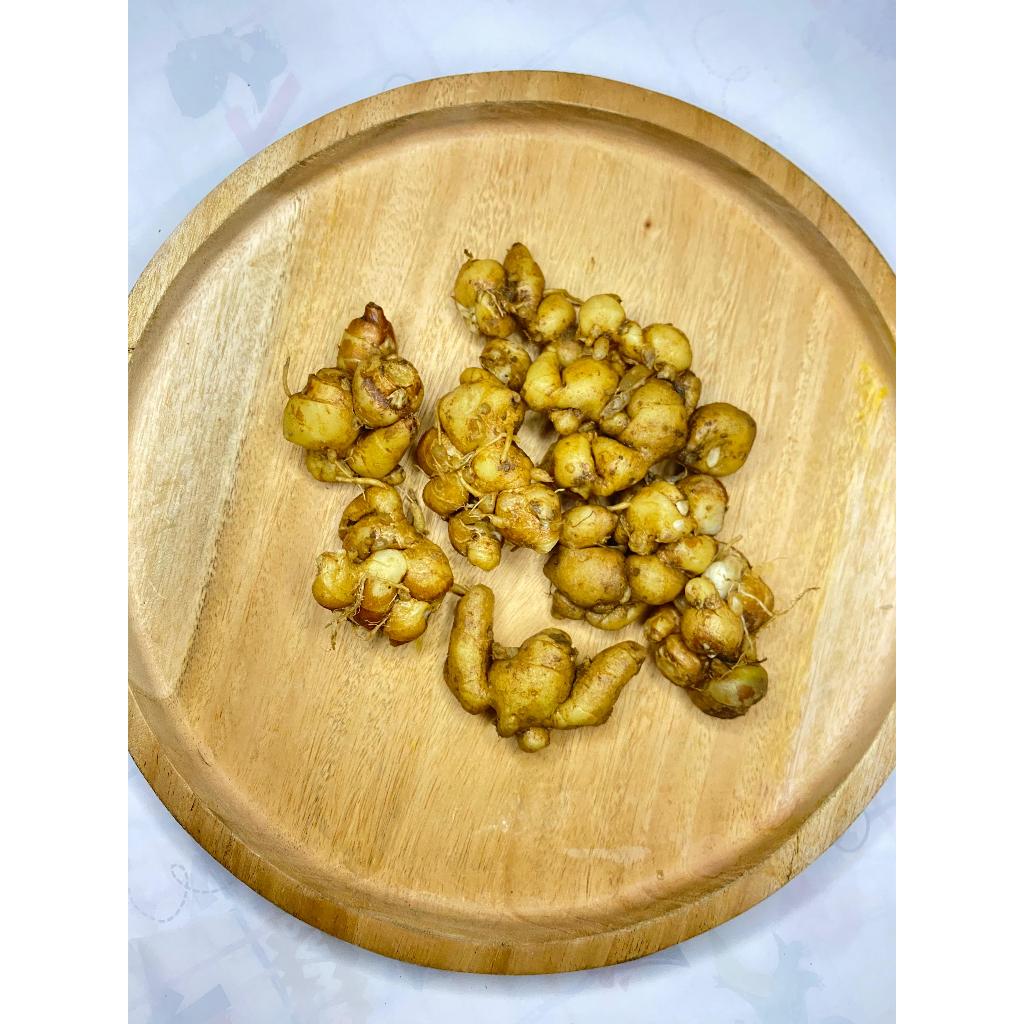 

Kencur segar 500 Gram/ Kenjur segar 1 KG/ kencur fresh/ kencur cikur