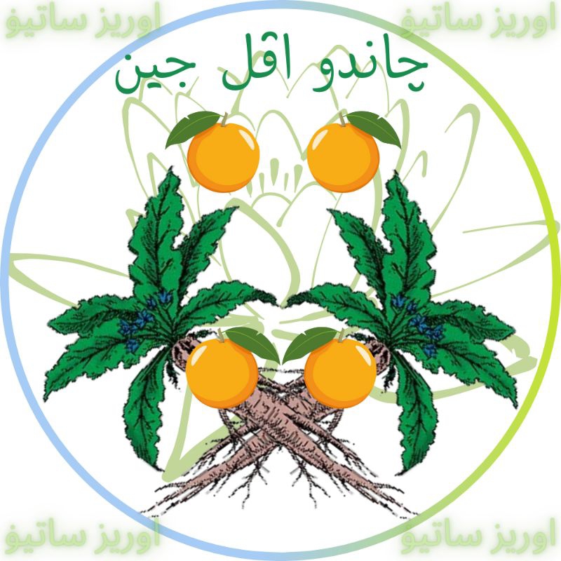 Lotsoolup Aromaterapi Menyan Madat Candu Apel Jin