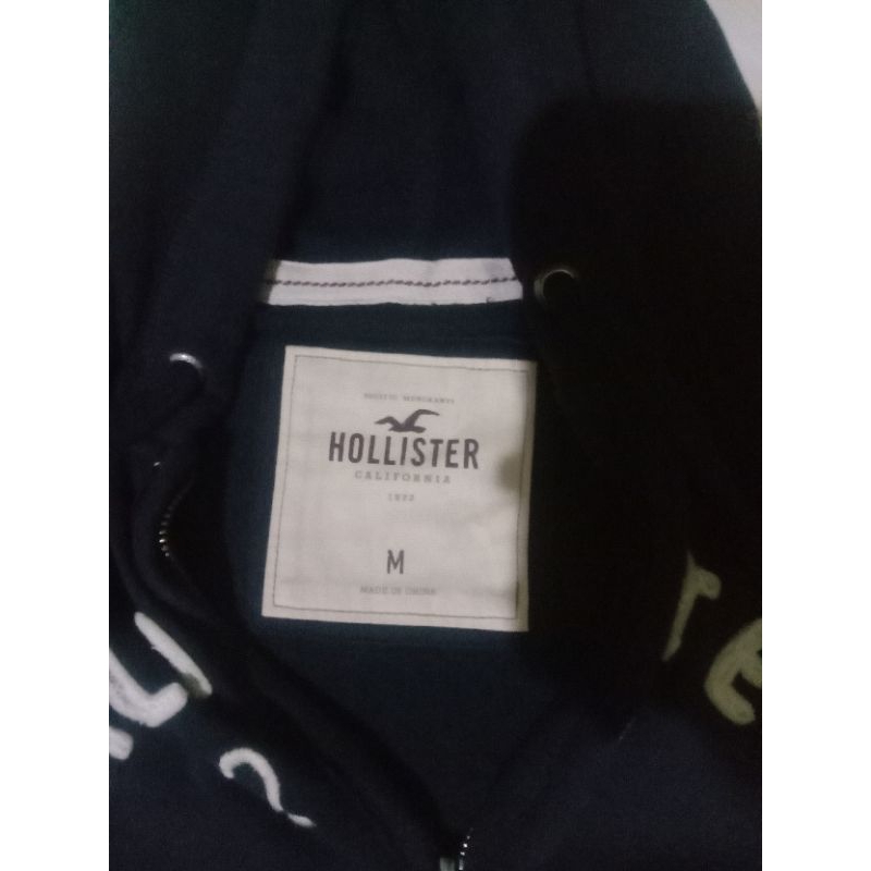 Hoodie Zipper holister