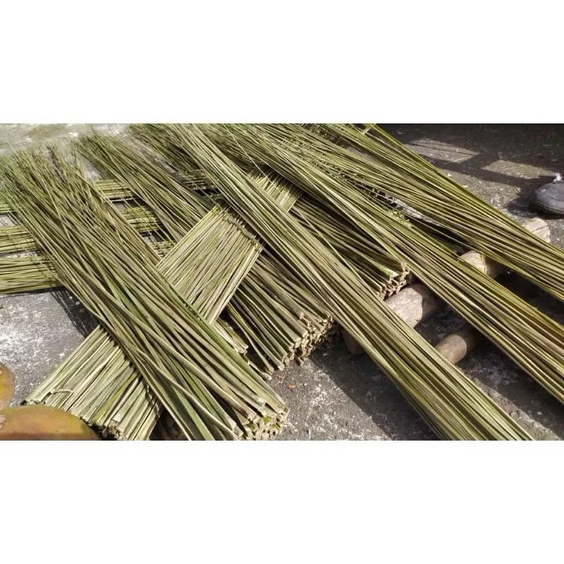 sapu lidi aren/sodo lanang per pcs