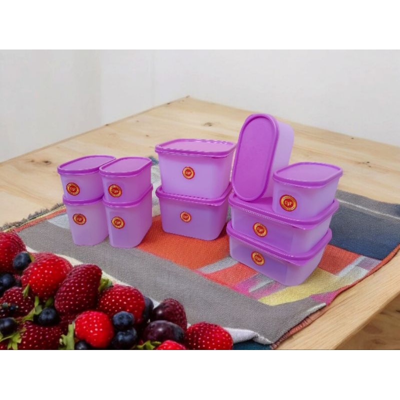 Set Box Makanan of 10 Pcs - Djp Set Agogo A