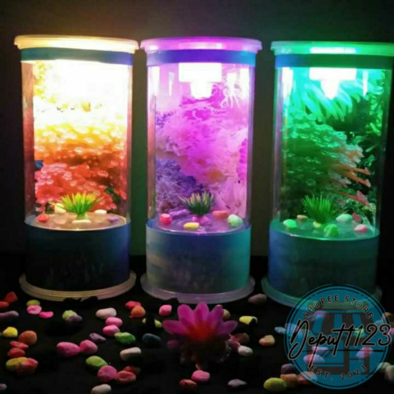 aquarium hiasan aquarium ikan kecil