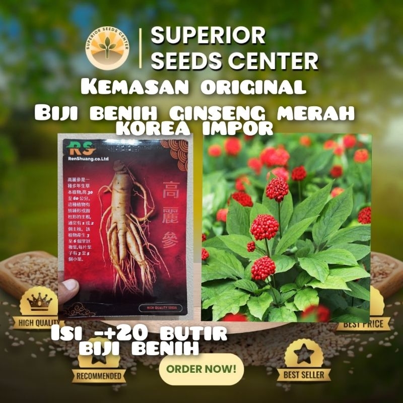 KEMASAN ORIGINAL BIJI BENIH GINSENG MERAH KOREA IMPOR