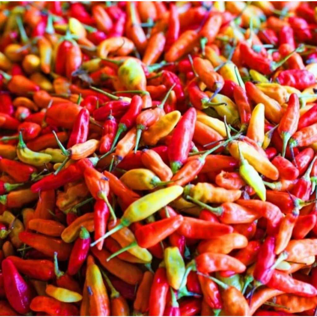 

Cabe / Cabai Rawit Merah 500 gr