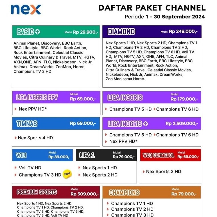 Paket Nex Parabola BASIC 1 tahun