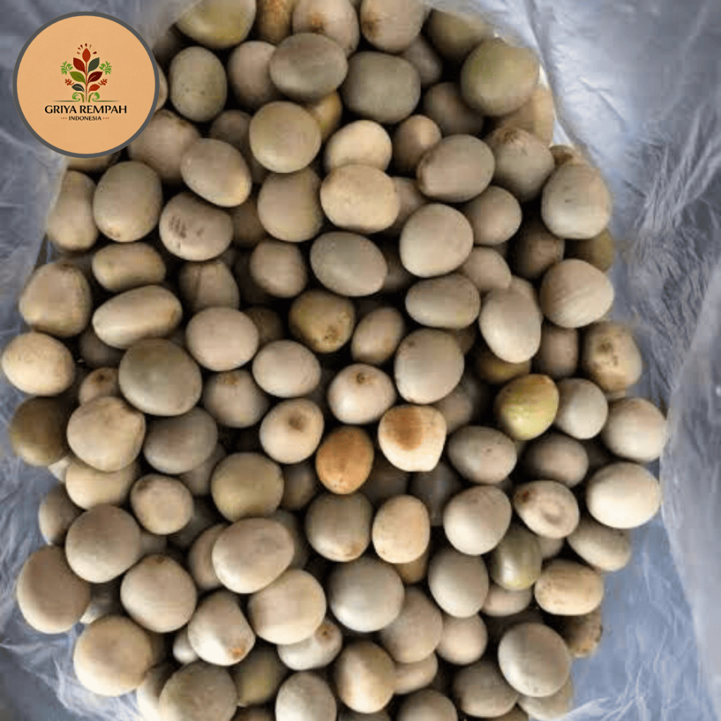 

BIJI GOREK KERING 100 GRAM Buah Kaloyang Herbal Alami untuk Kesehatan dan Pengobatan Jamu Tradisional kalaloyang Simplisia Caesalpinia Crista