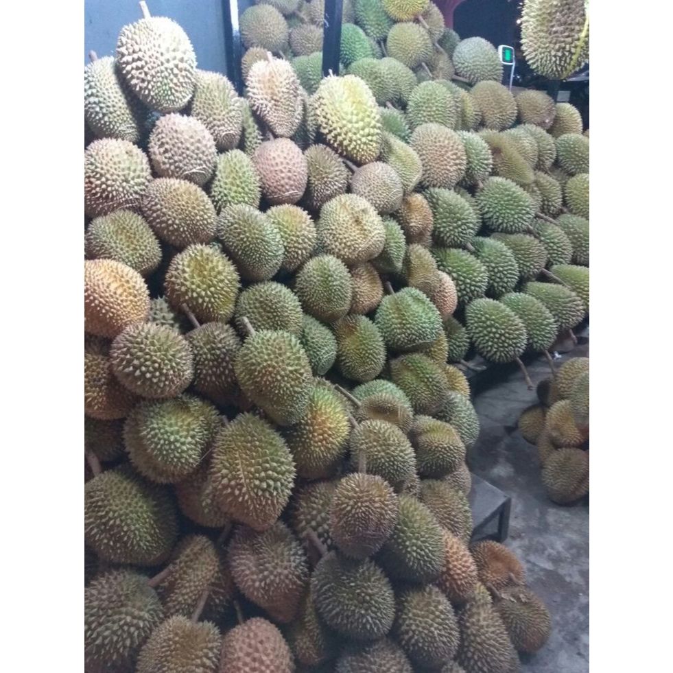 

Durian Lokal Bulat Medan Utuh Nias +2,5KG