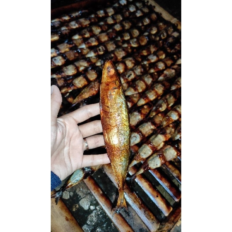 

IKAN ASAP KHAS KOTA PEKALONGAN (LAYANG DELES) ISI 10 BIJI PERPACK