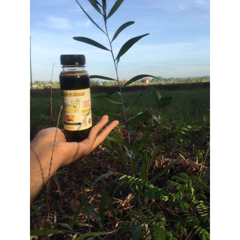 

[ PROMO ] Madu Asli & Murni Acacia Carpa 330g/250ml