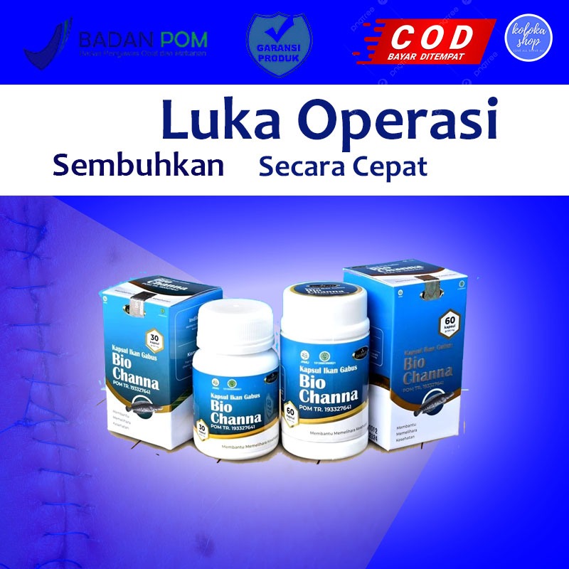 Albumin Ekstrak Ikan Gabus Obat Luka Pasca Operasi