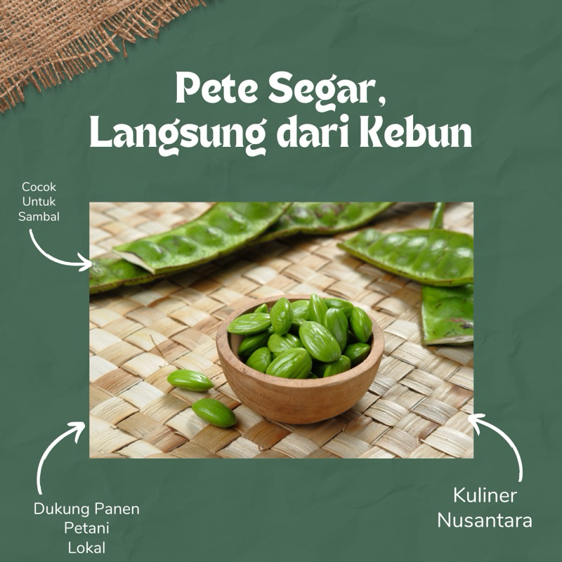 

[1 Ikat isi 10] Pete Segar Kualitas Terbaik - Gurih, Harum, dan Siap Olah! Pete Jatim - Jawa Timur
