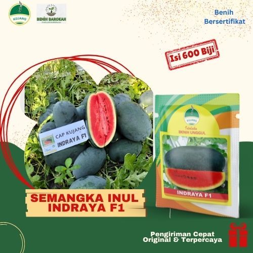 Benih semangka inul merah jumbo Indraya Cap Kujang isi 600 biji