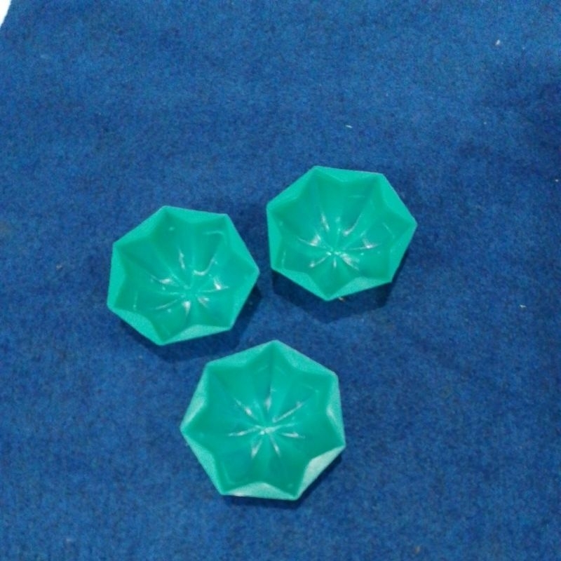 

12 PCS CITAAN BELIMBING