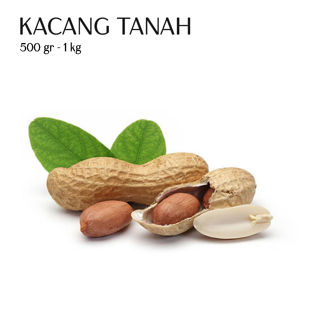 

Kacang Tanah Kulit Mentah Fresh Berat 500 gr - 1 kg