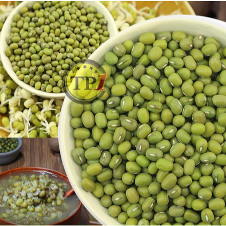 

Kacang Hijau Large Green Mung Beans Kualitas Super Import 500g