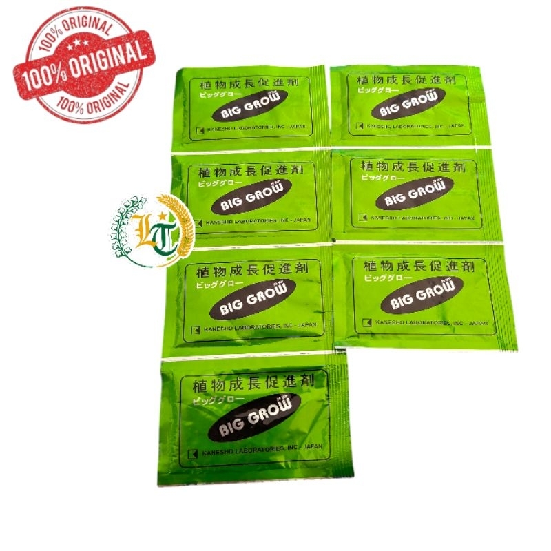 BIG GROW 20 wp pembesar buah naga