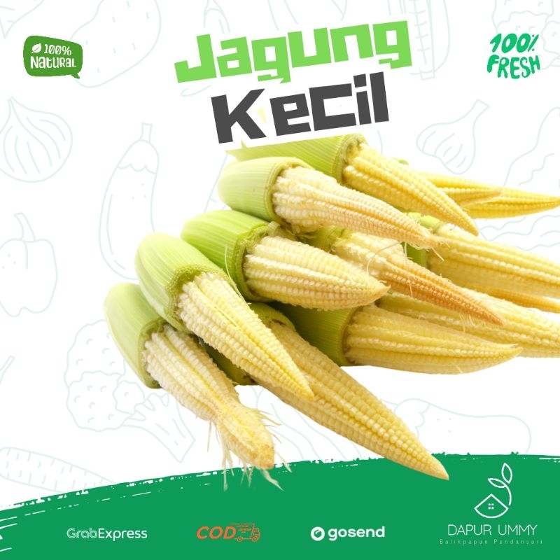 

Jagung kecil | Jagung Muda | Sayur Jagung | Putren | Baby Corn