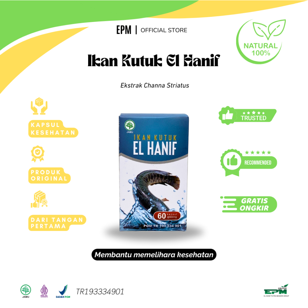 IKAN KUTUK | EL HANIF | Membantu memelihara kesehatan
