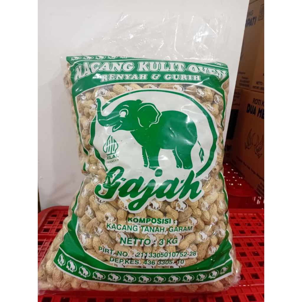 

KACANG KULIT GAJAH
