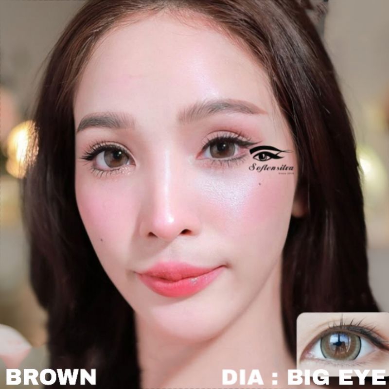 SOFTLENS / BIG EYES / BIG EYE / GREY / BROWN NORMAL & MINUS