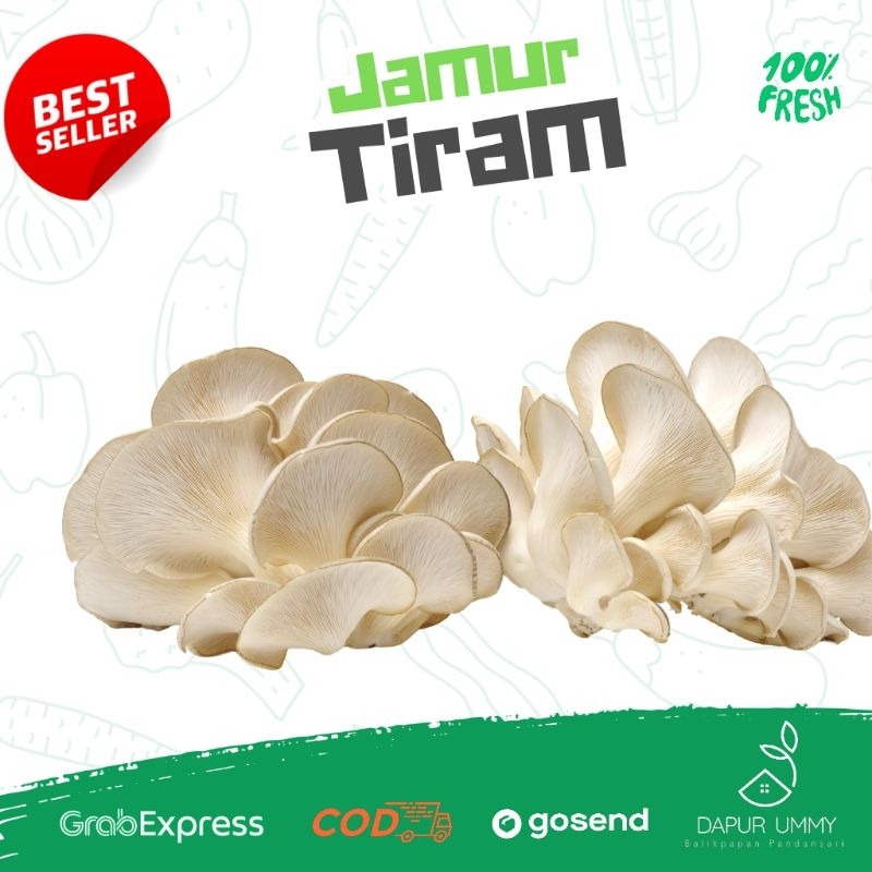 

Jamur Tiram 250g