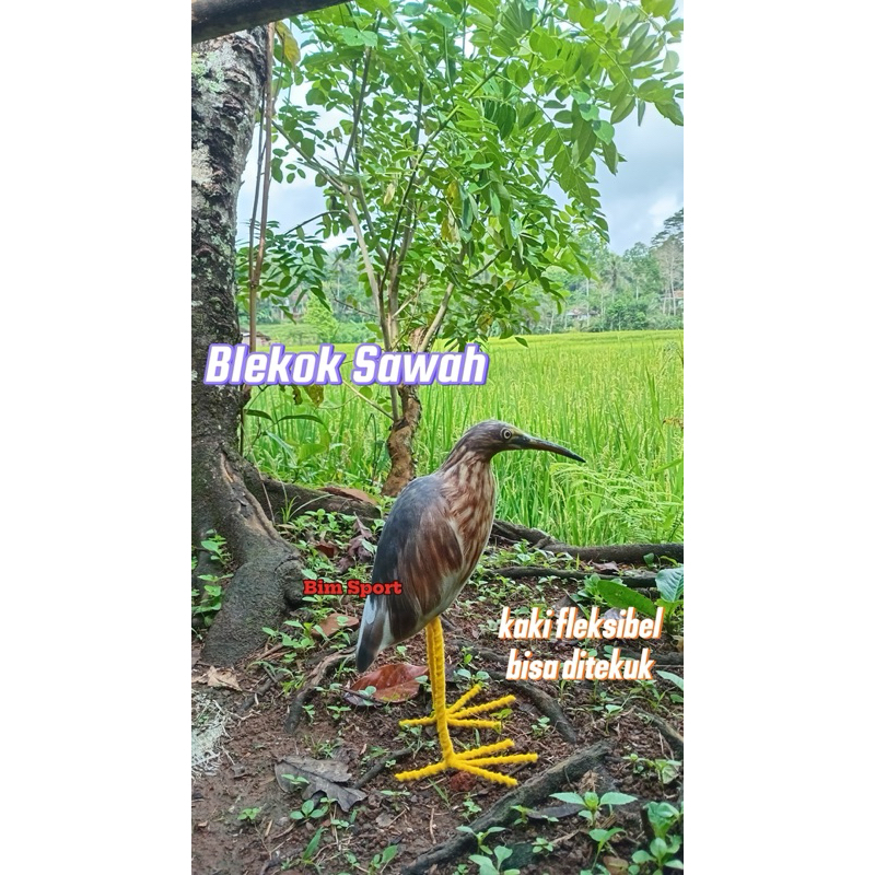 Patung Jontrot Burung Blekok Sawah