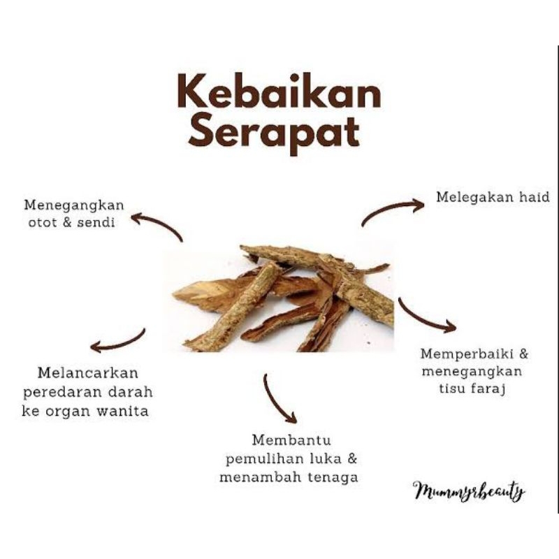 

Jamu Kayu Serapat Manjakani (Minuman Herbal) 500ml siap minum