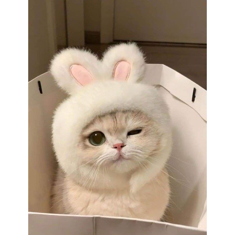 

pesanan kak khansahaura