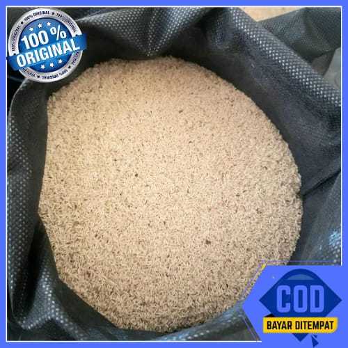 Telur Jangkrik Alam Sliring Kemasan 500gr Telur Jangkrik Alam Super