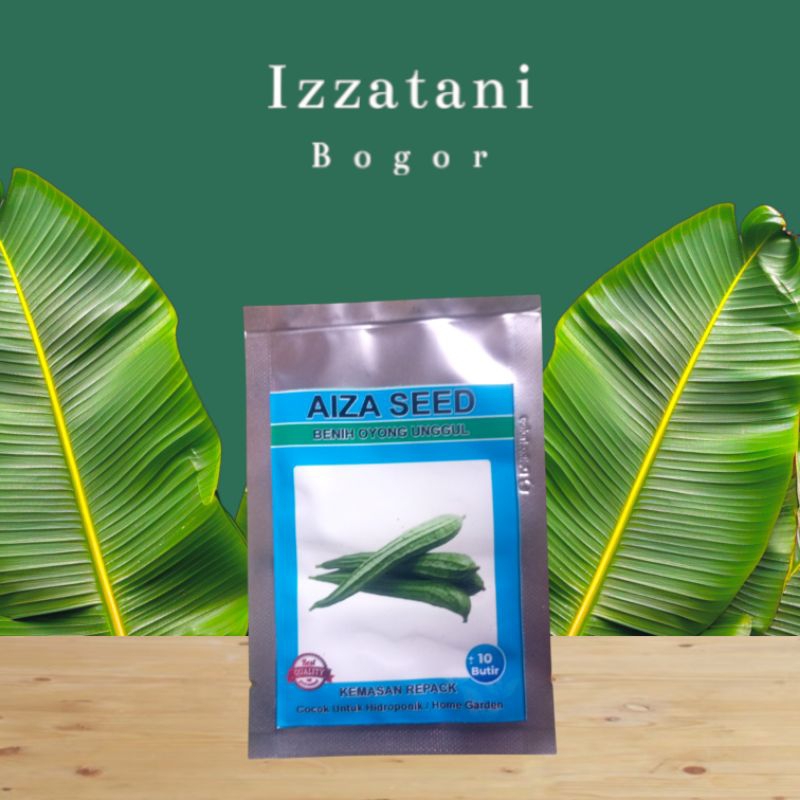 Benih Oyong Gambas Bibit Oyong 10 Butir