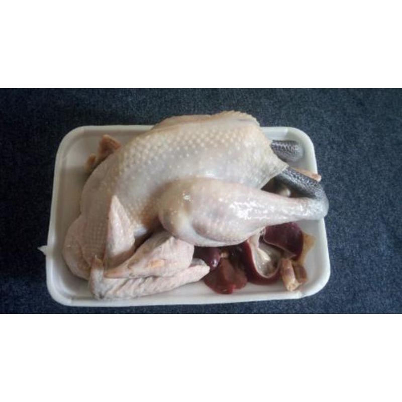 

Ayam Kampung Frozen Palembang