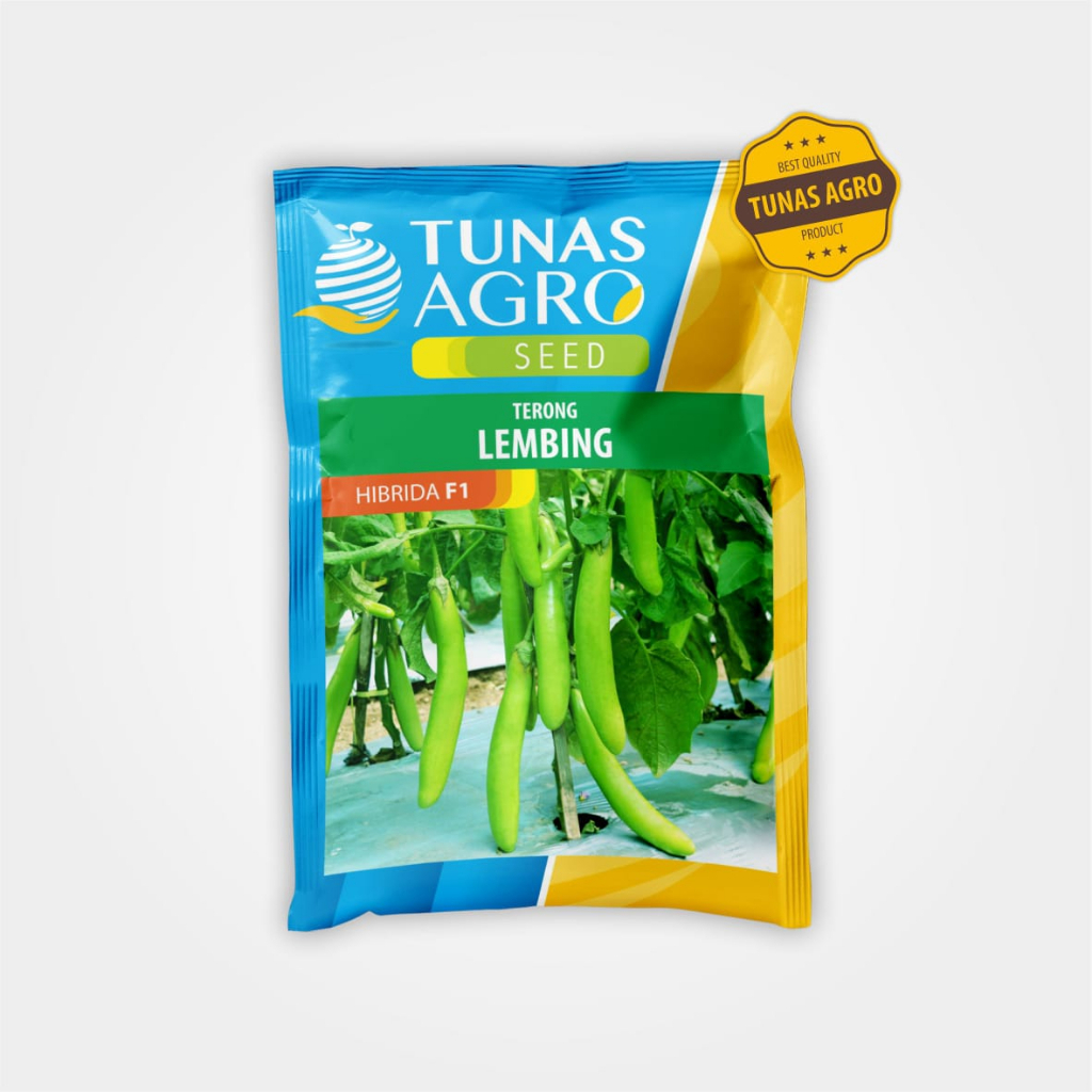benih terong hijau tavi LEMBING 10gr tunas agro