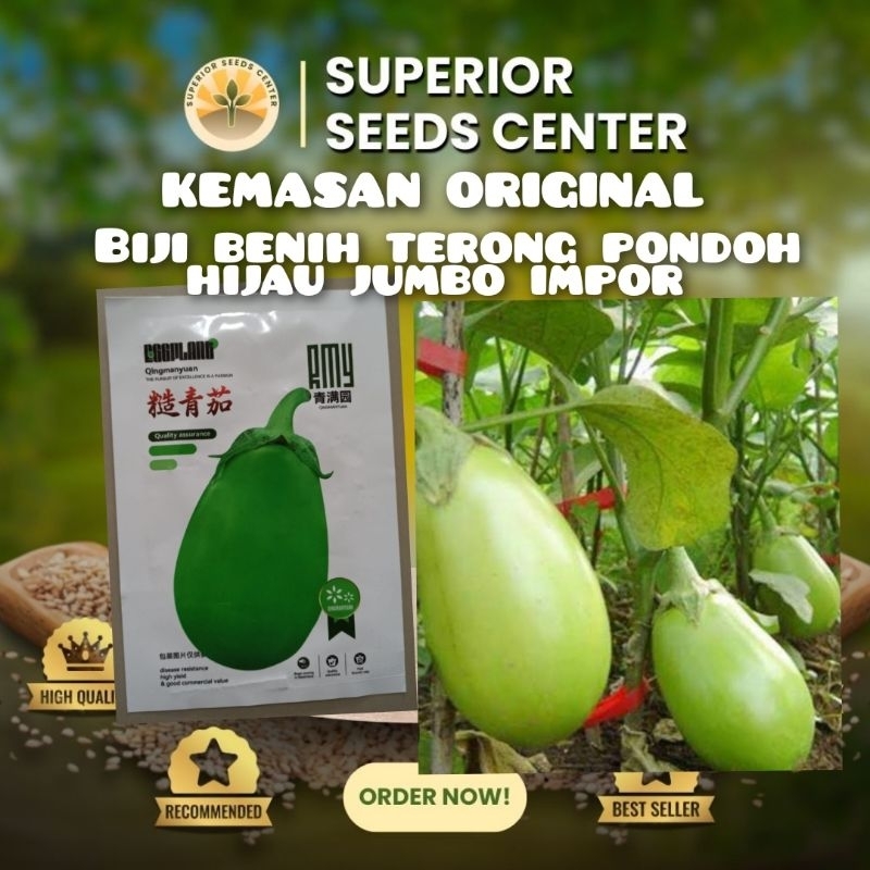 KEMASAN ORIGINAL BIJI BENIH TERONG PONDOH HIJAU JUMBO IMPOR