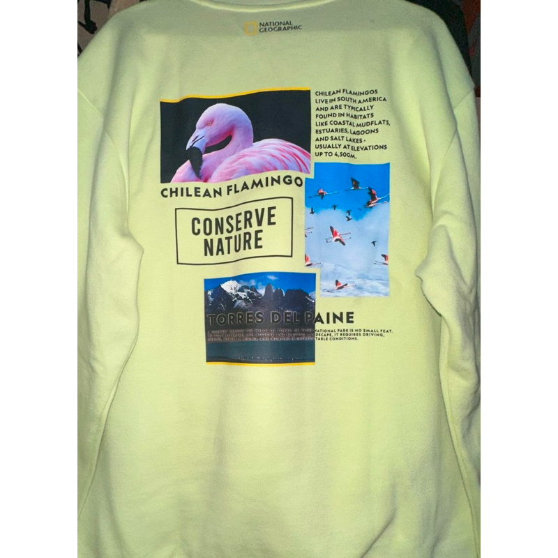 Crewneck National Geographic Art Flaminggo Full-tag second Original