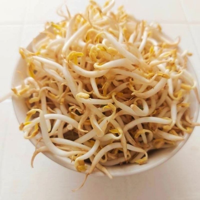 

Garansi Toge Sayur Tauge Kecambah Kualitas Segar