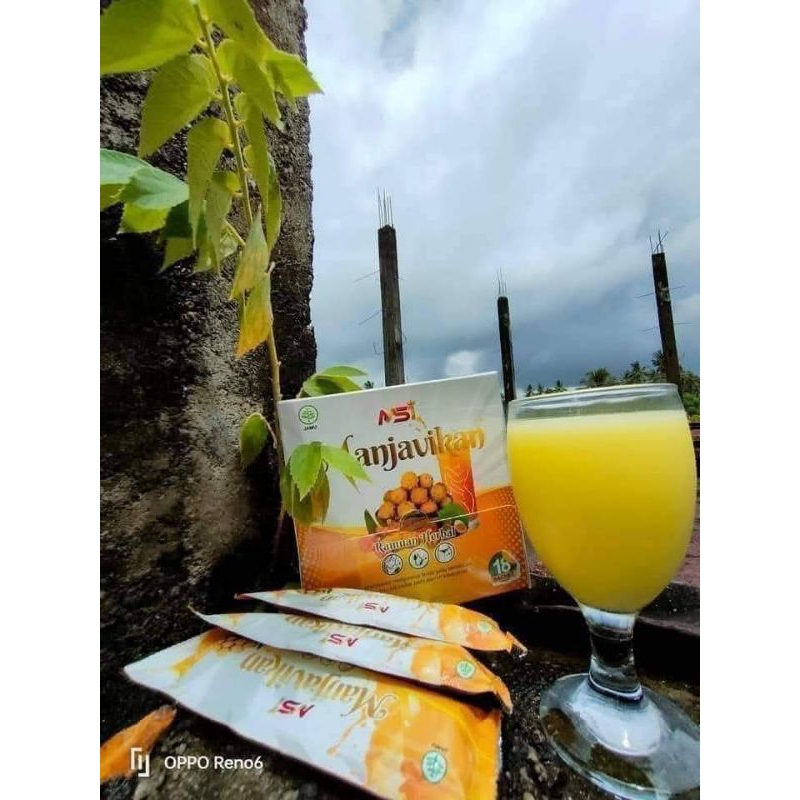 MANJAVIKAN MSI 10 SACHET