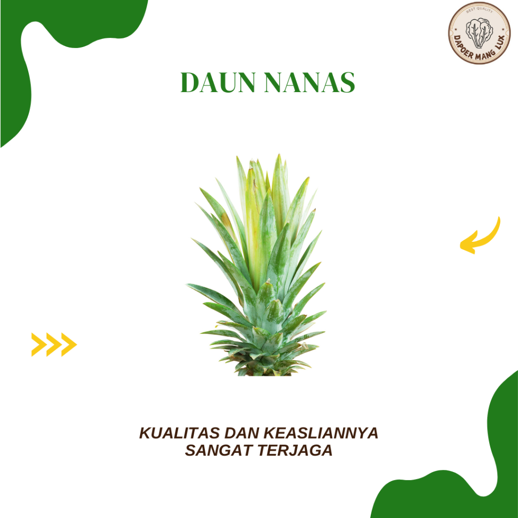 

DRIED SERBUK DAUN NANAS BEST SELLER