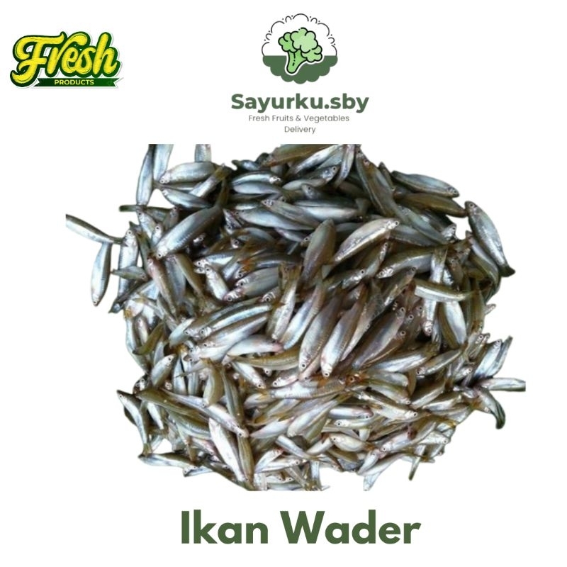 

Sayurku.Sby (bisa kirim instan) Ikan Wader laut Fresh Premium 500gr