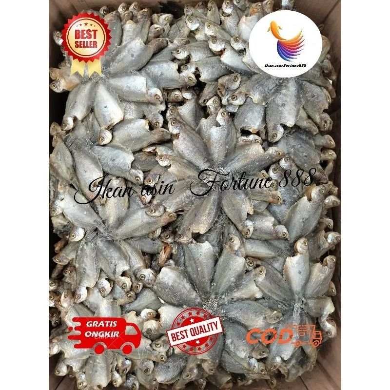 

Ikan Asin Sepat Rawa/Sepat Padi Susun Bintang Kualitas Premium 500gram, 1000gram