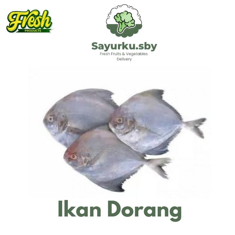 

Sayurku.Sby (Bisa kirim instan) Ikan Dorang / bawal putih /ikan dorado FRESH 1KG