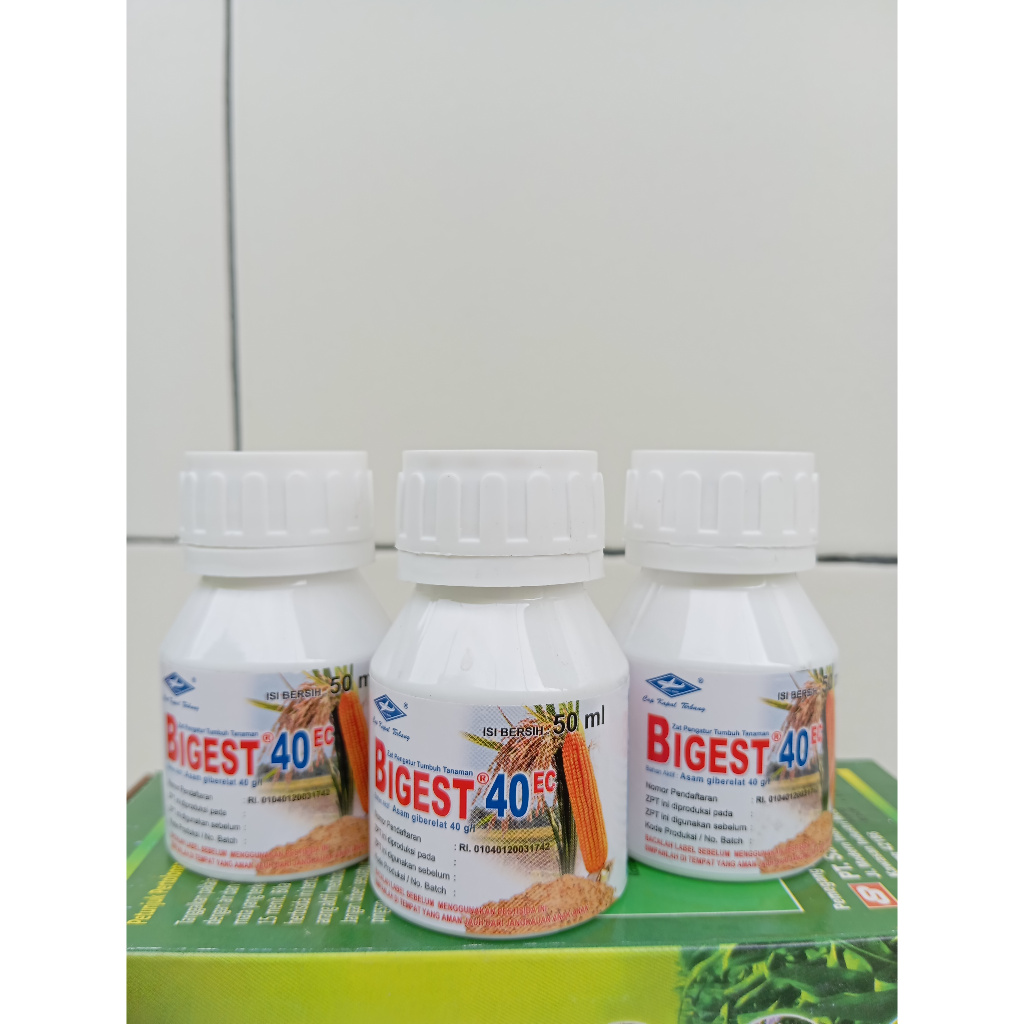 BIGEST 40EC 50ML ZPT