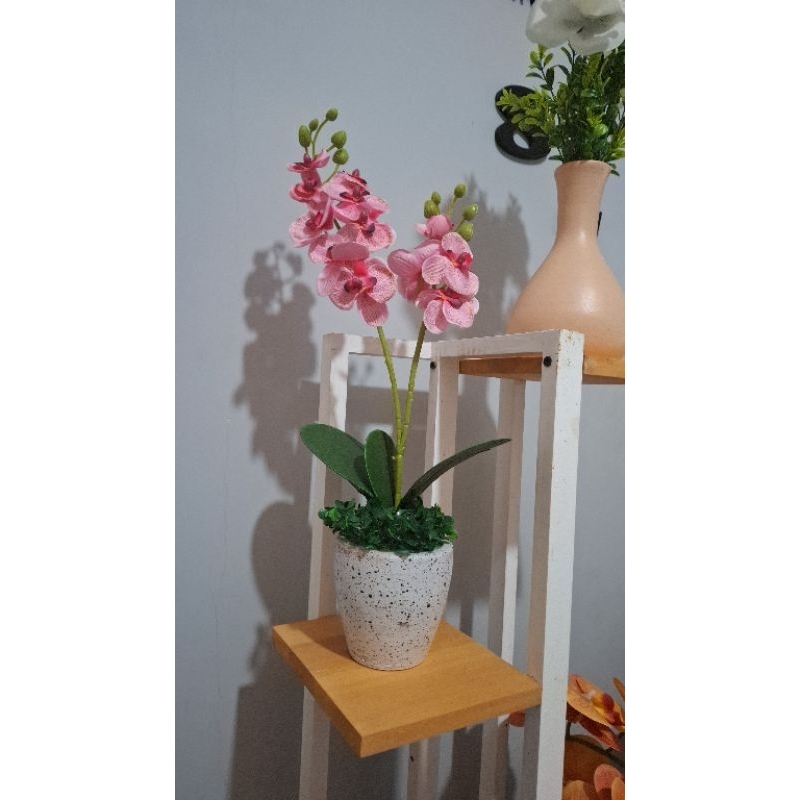 AnggrekMiniPotGerabah