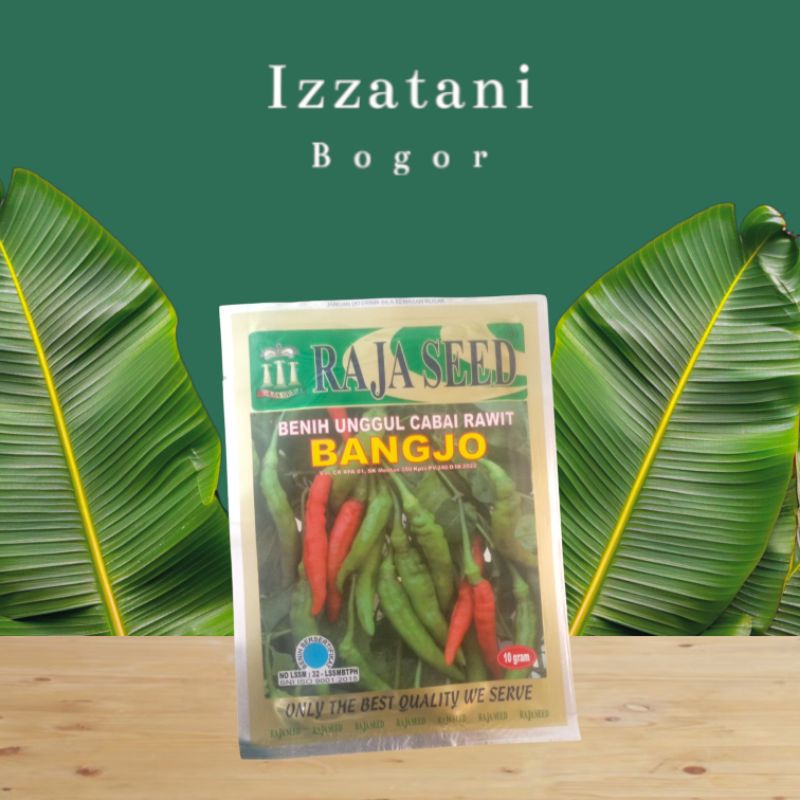 Benih Cabe Rawit Hijau Merunduk Bangjo 10Gram Bibit Cabe Rawit Hijau