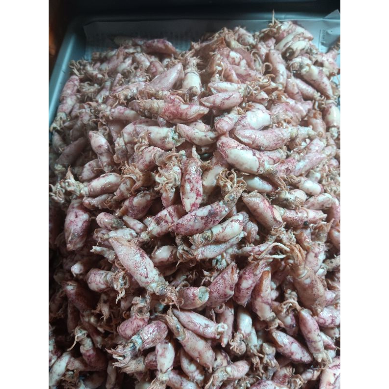 

cumi asin segar 250gr