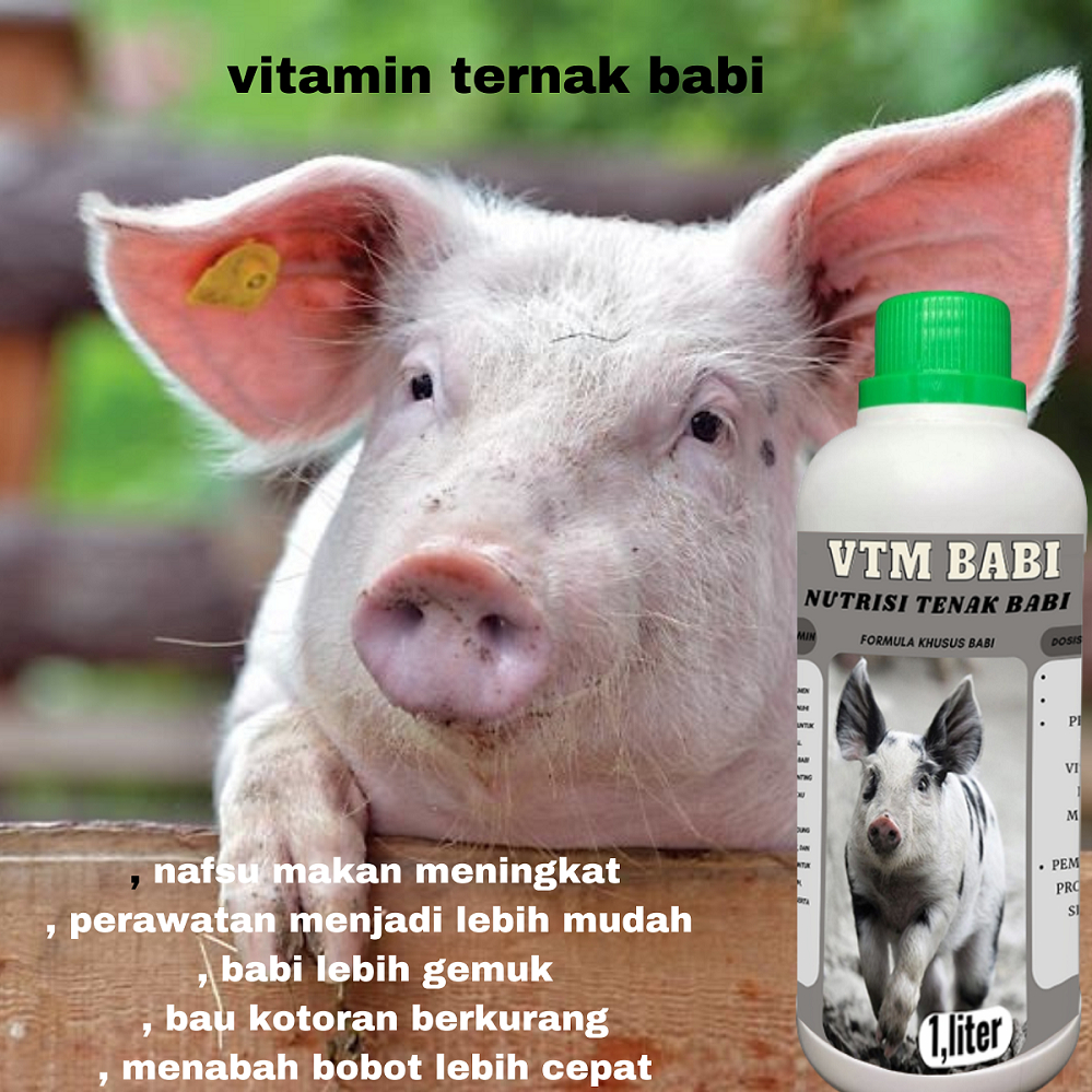 VTM-Vitamin ternak babi/Vitamin untuk pertumbuhan babi/Nutrisi babi ternak