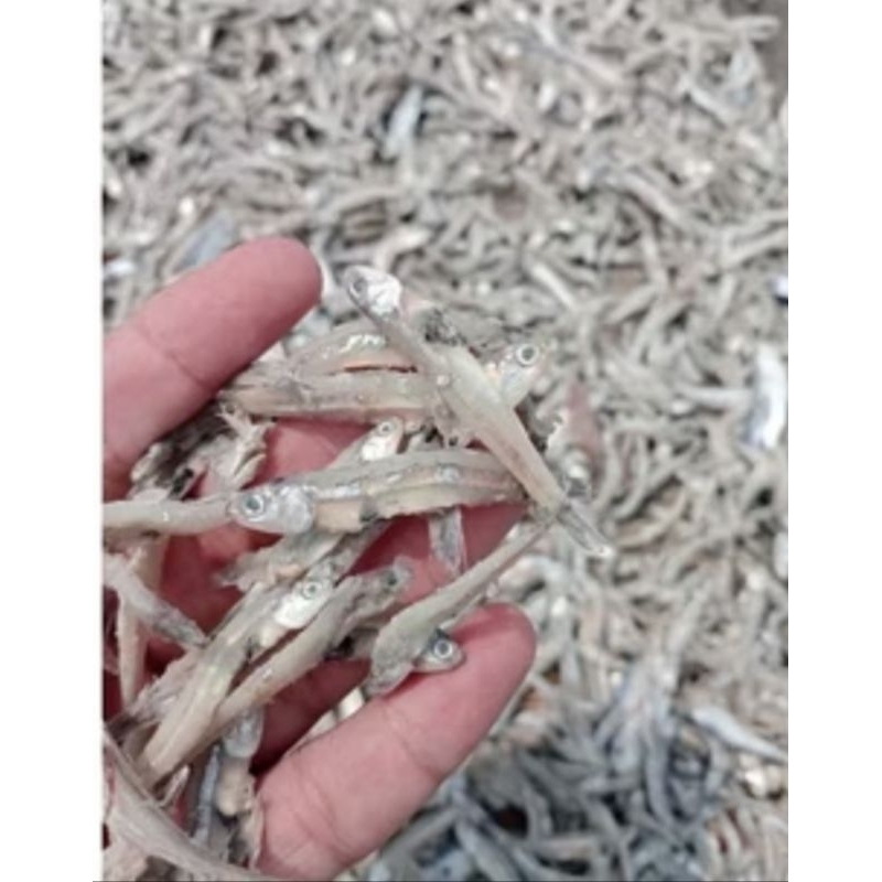 

ikan asin (TRI JENGKI) Premium