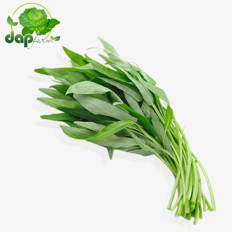

Sayur Kangkung/DAP Farm/ Sayur Segar Jakarta