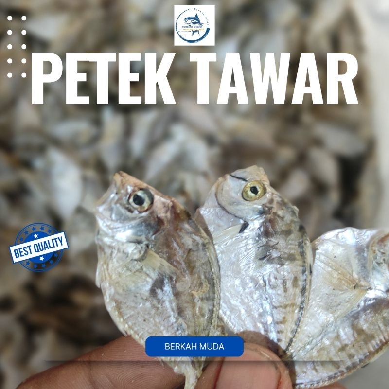 

Ikan asin Petek Tawar/ asin 500grm terlaris