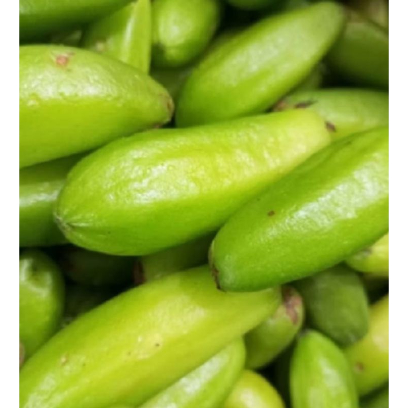 

buah belimbing wuluh 500 grm
